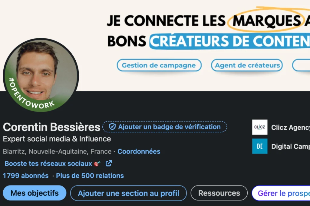 Open to Work sur Linkedin Disciplina formations
